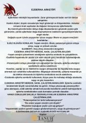 Ejderha Yılına Özel Ejderha Kolye