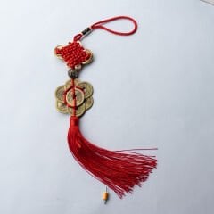 Şans Parası Duvar Süsü Büyük Boy