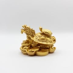 Ejderha Kafalı Kaplumbağa ve Yavrusu