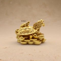 Ejderha Kafalı Kaplumbağa ve Yavrusu