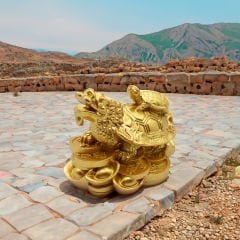 Ejderha Kafalı Kaplumbağa ve Yavrusu