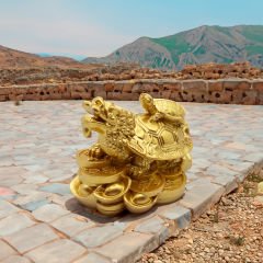 Ejderha Kafalı Kaplumbağa ve Yavrusu