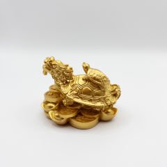 Ejderha Kafalı Kaplumbağa ve Yavrusu