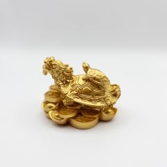 Ejderha Kafalı Kaplumbağa ve Yavrusu