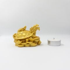 Ejderha Kafalı Kaplumbağa ve Yavrusu