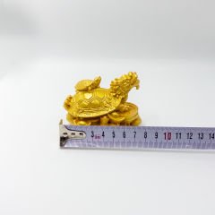 Ejderha Kafalı Kaplumbağa ve Yavrusu