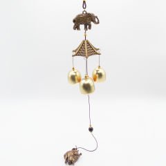 Filli Asma Çan Bereket ve Bolluk Getirici