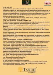 Ejderha / Geyik Şans Parası Çin Bereket Parası