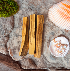 Tanuh Academy Keseli Palo Santo Negatif Enerjiyi Temizler