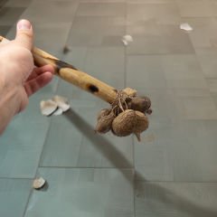 Kokonat Sarkaçlı Marakas Şamanik Müzik Enstrumanı