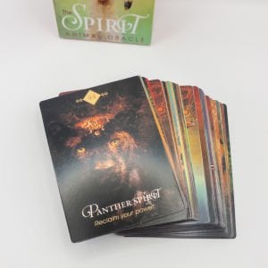 Spirit Animal Oracle / Ruh / Erk Hayvanı / Güç Hayvanı Kartları