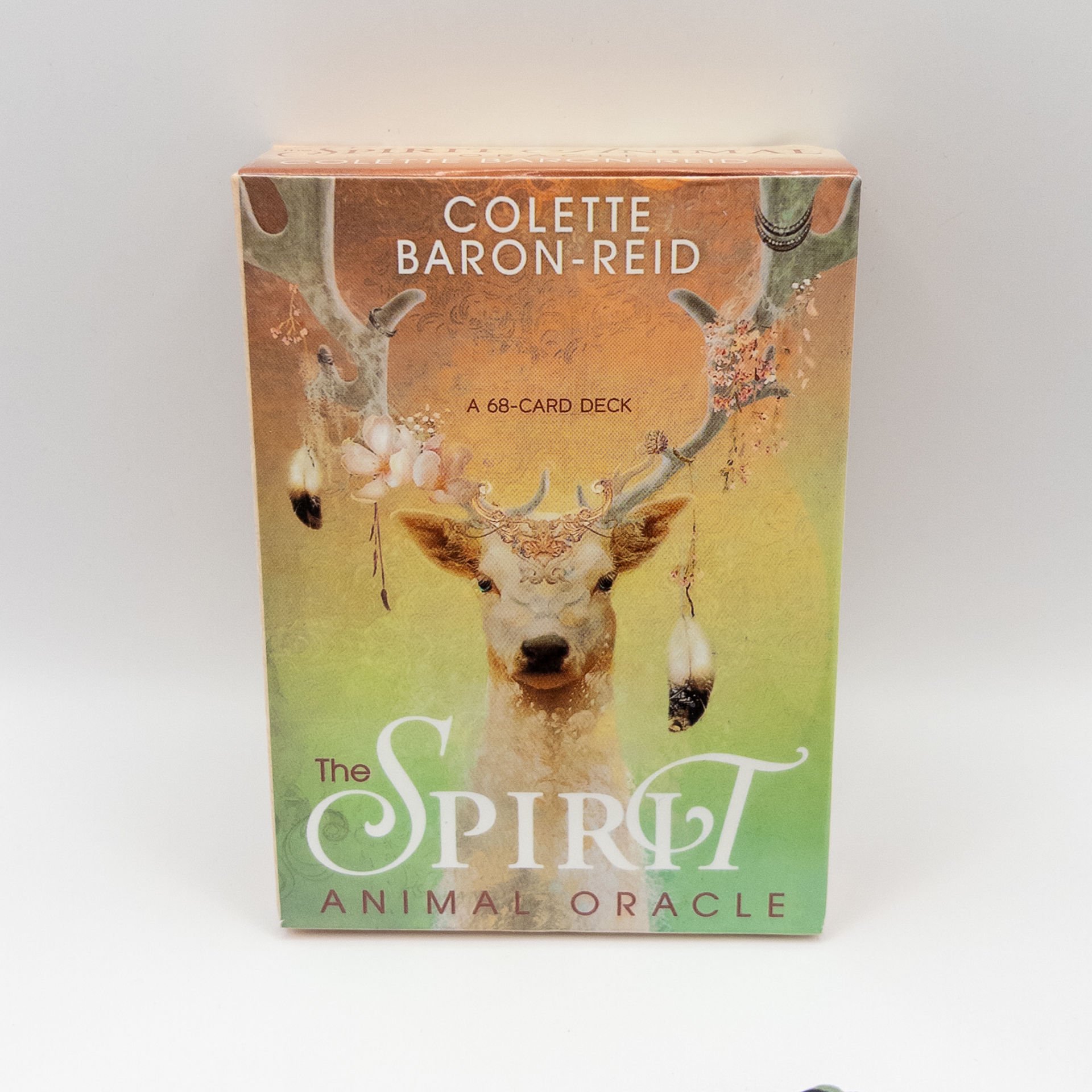Spirit Animal Oracle / Ruh / Erk Hayvanı / Güç Hayvanı Kartları